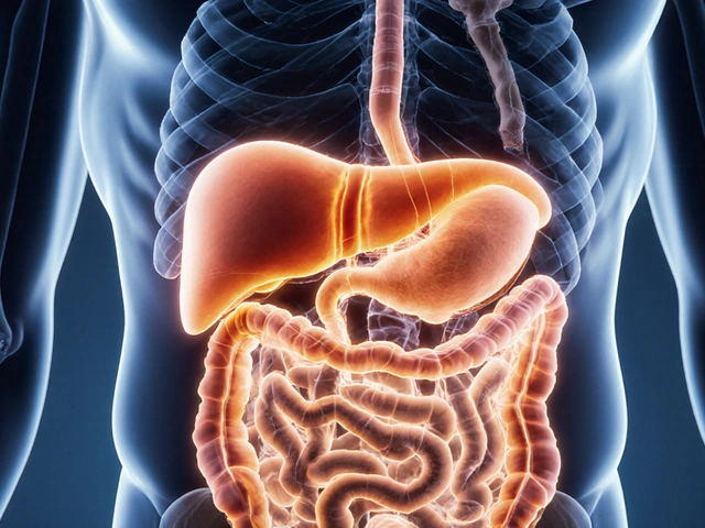 Kde se hubne nejdřív? Pravda o místech, kde tělo ztrácí tuk první