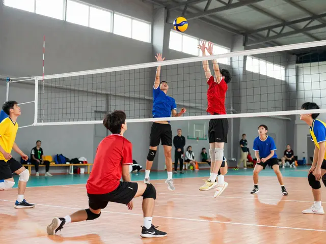 Jak se anglicky řekne volejbal? Překlad a kontext pro sportovce a jazykové zájemce