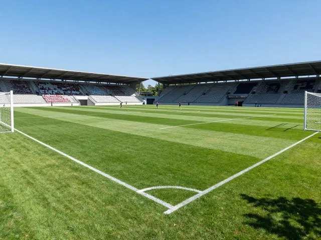 Jak je velké fotbalové hřiště? Standardní rozměry a pravidla