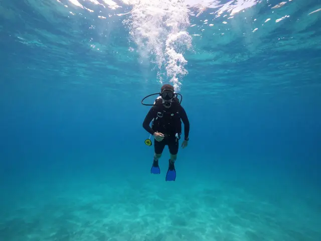 Co je to Scuba diving? Průvodce světem potápění pro začátečníky