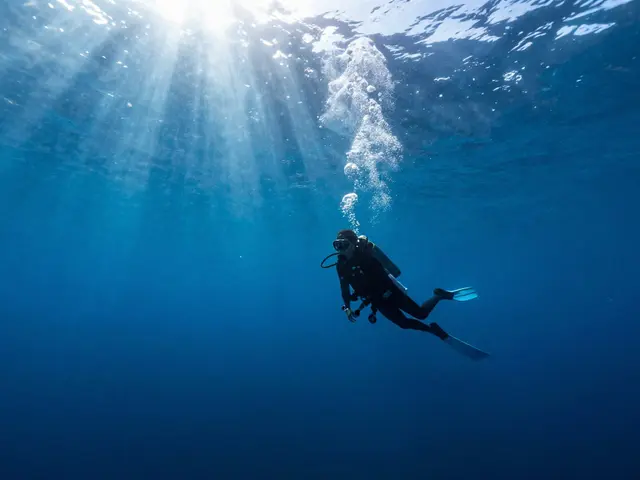 Co se děje s tělem pod vodou? Fyziologie potápění a tlak